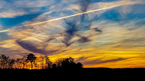 Brilliant orange, yellow, and blue sunset above a dark tree line