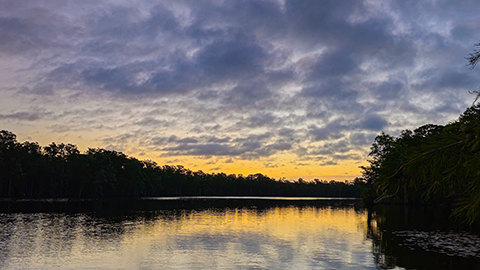 Sunset reflected across the calm Cashie River